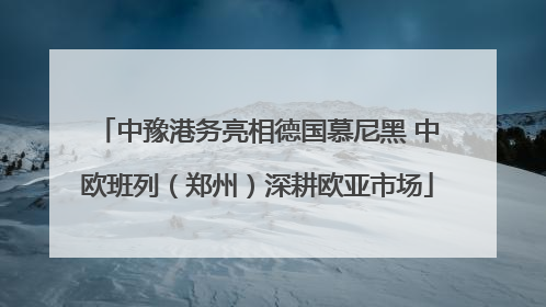中豫港务亮相德国慕尼黑 中欧班列（郑州）深耕欧亚市场