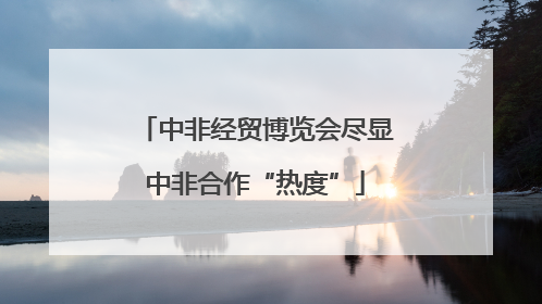 中非经贸博览会尽显中非合作“热度”