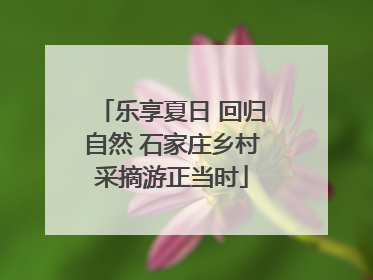 乐享夏日 回归自然 石家庄乡村采摘游正当时