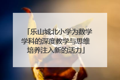 乐山城北小学为数学学科的深度教学与思维培养注入新的活力