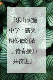 乐山实验中学：薪火相传情谊浓，青春接力共奋进