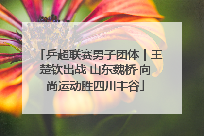 乒超联赛男子团体｜王楚钦出战 山东魏桥·向尚运动胜四川丰谷