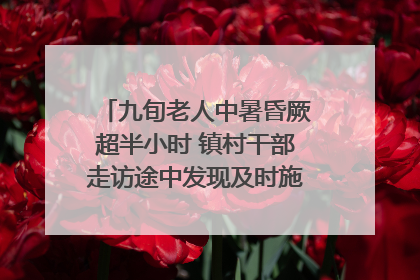 九旬老人中暑昏厥超半小时 镇村干部走访途中发现及时施救｜看见正能量