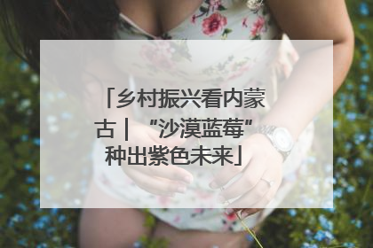乡村振兴看内蒙古｜“沙漠蓝莓”种出紫色未来