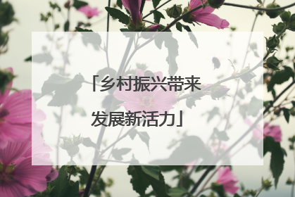 乡村振兴带来发展新活力