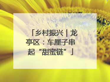 乡村振兴｜龙亭区：车厘子串起“甜蜜链”