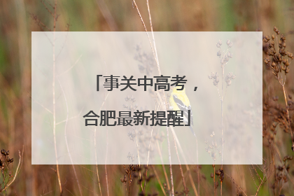 事关中高考，合肥最新提醒