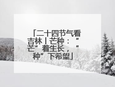 二十四节气看吉林丨芒种：“芒”着生长，“种”下希望