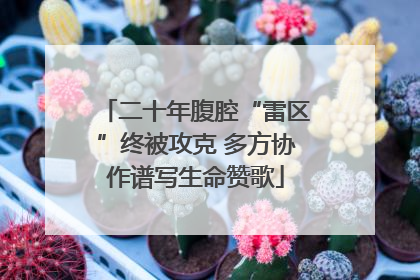 二十年腹腔“雷区”终被攻克 多方协作谱写生命赞歌