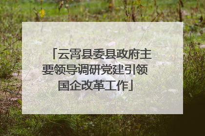 云霄县委县政府主要领导调研党建引领国企改革工作