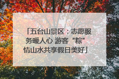 五台山景区：志愿服务暖人心 游客“粽”情山水共享假日美好