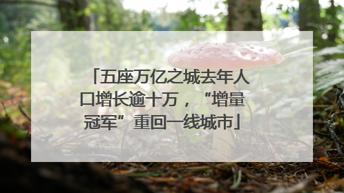 五座万亿之城去年人口增长逾十万，“增量冠军”重回一线城市