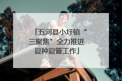 五河县小圩镇“三聚焦”全力推进夏种夏管工作