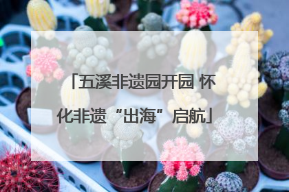 五溪非遗园开园 怀化非遗“出海”启航