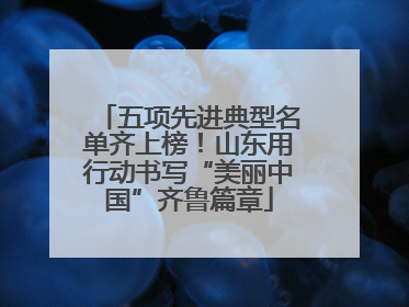 五项先进典型名单齐上榜！山东用行动书写“美丽中国”齐鲁篇章