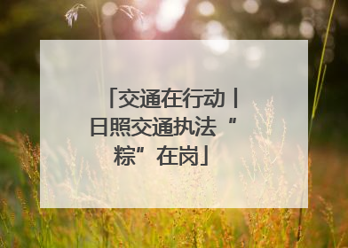 交通在行动丨日照交通执法“粽”在岗