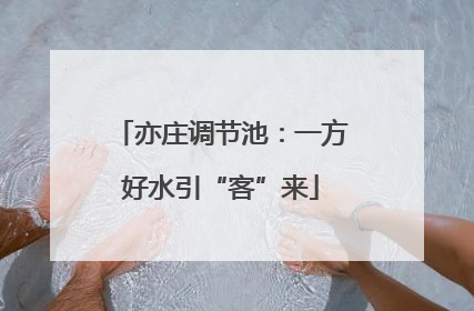 亦庄调节池：一方好水引“客”来