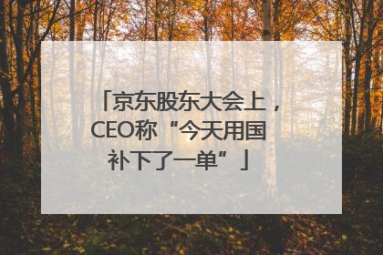 京东股东大会上，CEO称“今天用国补下了一单”