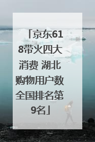 京东618带火四大消费 湖北购物用户数全国排名第9名