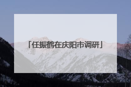 任振鹤在庆阳市调研