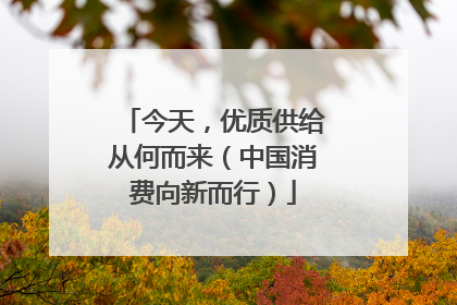 今天，优质供给从何而来（中国消费向新而行）
