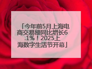 今年前5月上海电商交易额同比增长6.1%！2025上海数字生活节开幕