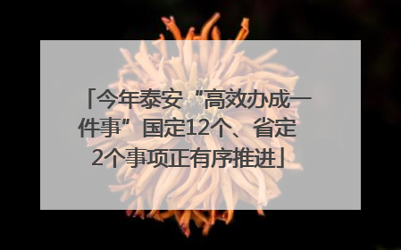 今年泰安“高效办成一件事”国定12个、省定2个事项正有序推进