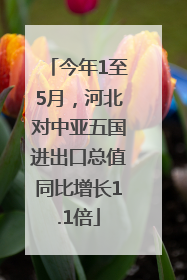 今年1至5月，河北对中亚五国进出口总值同比增长1.1倍