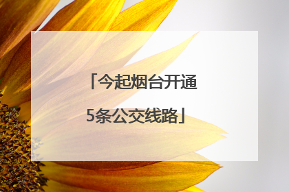 今起烟台开通5条公交线路