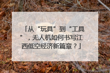 从“玩具”到“工具”，无人机如何书写江西低空经济新篇章？