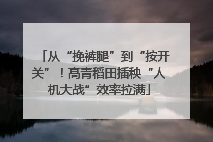 从“挽裤腿”到“按开关”！高青稻田插秧“人机大战”效率拉满