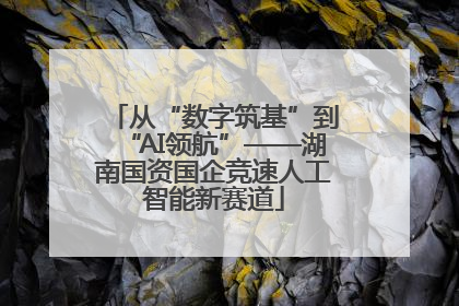 从“数字筑基”到“AI领航”——湖南国资国企竞速人工智能新赛道