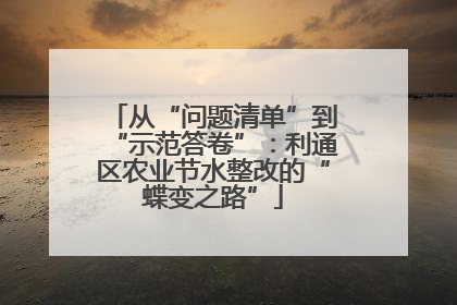 从“问题清单”到“示范答卷”：利通区农业节水整改的“蝶变之路”