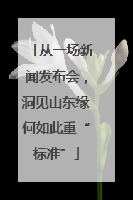 从一场新闻发布会，洞见山东缘何如此重“标准”