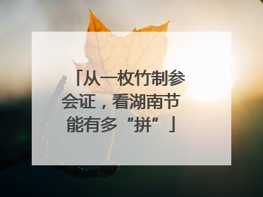 从一枚竹制参会证，看湖南节能有多“拼”