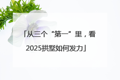 从三个“第一”里，看2025拱墅如何发力