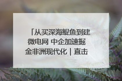 从买深海鳀鱼到建微电网 中企加速掘金非洲现代化｜直击中非经贸博览会