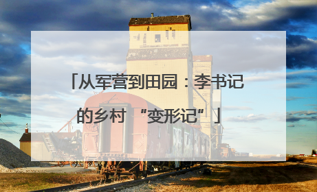 从军营到田园：李书记的乡村 “变形记”
