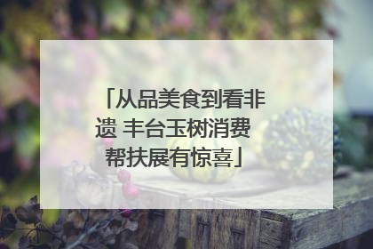 从品美食到看非遗 丰台玉树消费帮扶展有惊喜