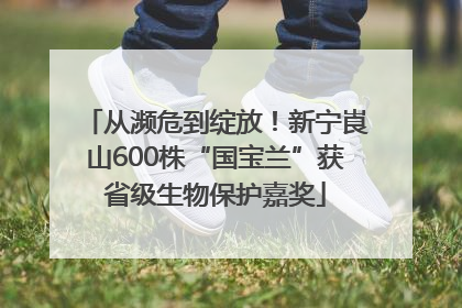 从濒危到绽放！新宁崀山600株“国宝兰”获省级生物保护嘉奖