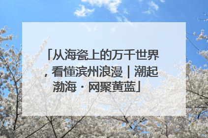 从海瓷上的万千世界，看懂滨州浪漫｜潮起渤海・网聚黄蓝
