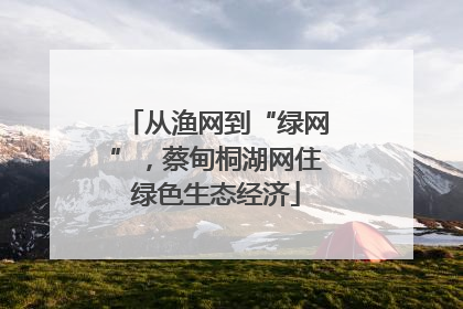 从渔网到“绿网”，蔡甸桐湖网住绿色生态经济