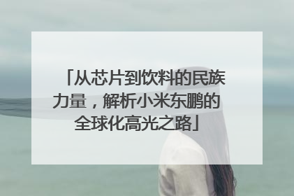 从芯片到饮料的民族力量，解析小米东鹏的全球化高光之路