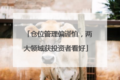 仓位管理偏谨慎，两大领域获投资者看好