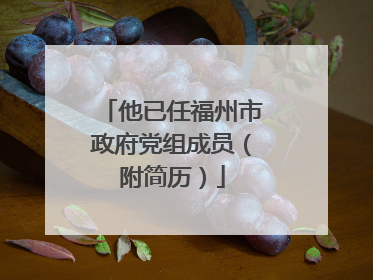 他已任福州市政府党组成员（附简历）