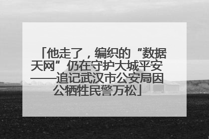 他走了，编织的“数据天网”仍在守护大城平安——追记武汉市公安局因公牺牲民警万松