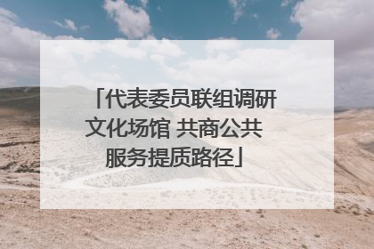 代表委员联组调研文化场馆 共商公共服务提质路径