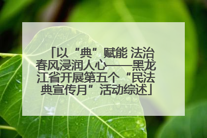 以“典”赋能 法治春风浸润人心——黑龙江省开展第五个“民法典宣传月”活动综述