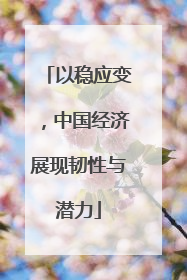 以稳应变,中国经济展现韧性与潜力