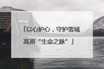 以心护心，守护雪域高原“生命之脉”